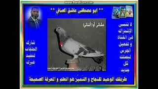 أوشائى  ( عشائى )  ازازي  --  سلسلة شرح اتياب الصافي