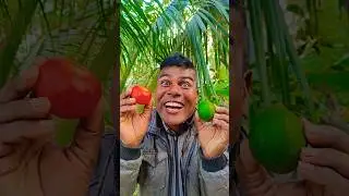 Здоровая еда против конфет Chupa Chups 🤪😅😀 8104