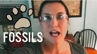 A Teacher's Guide to Making Fossils