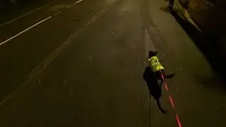 Another wet day, another dog walk (POV) ... WITH DOG MIC!