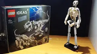 LEGO Human Skeleton using the 21320 Dinossaur Fossils set