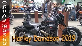 Новинки Harley Davidson 2019