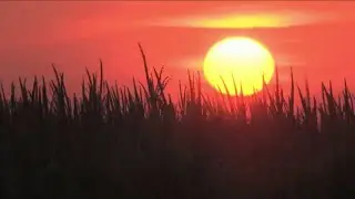 Extreme heat, drought cause dangerous fire conditions