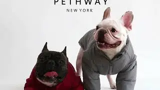PETHWAY - Online Pet Boutique