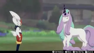 Pok&eacute;mon Camp