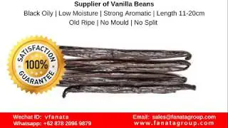 Sell Vanilla bean suppliers philipines, singapore, china,  Factory Supplier