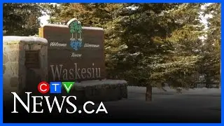 Prince Albert National Park opens for annual Christmas tree harvest
