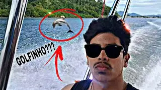 GRAVEI UM GOLFINHO NESSE VLOG!!!