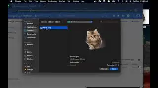 Initializing data systems with products (Cloud Storage)