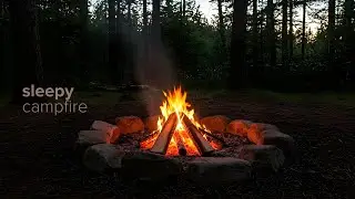 Sleepy Campfire 🔥 | Forest Campfire Sounds for Deep Sleep & Relaxation (2 Hours)