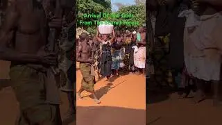Watch Forest Gods Emerge From Sacred Forest in Ghana