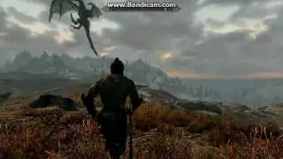 Skyrim: Fur armor Orc Dragon ride