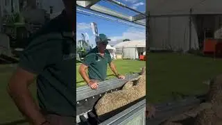 Live demonstrations of the Bulk Handler at the recent Wagin Woolorama