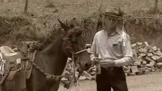CASAMENTO POMERANO