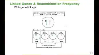 Chapter 13 Modern Understandings of Inheritance