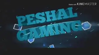 INTRO | SUBSCRIBE & LIKE | PESHAL GAMING