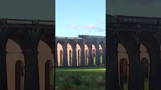 Steam train + Viaduct #train #steamengine #railway #rail200 #viaduct #architecture #trains