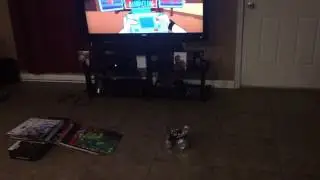 The funniest video