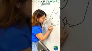 Planet Aid's 2024 Earth Month Challenge Art Tutorial with Christina Jones