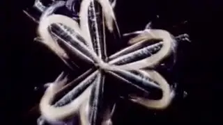 ARD SR Regionalprogramm 28.10.1982 Werbeblock der kleine Ritter   BEO   Kaleidoskop