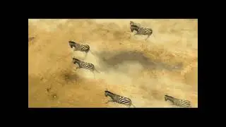 Wildlife Park: Wild Creatures intro video