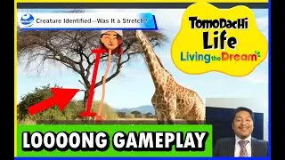 Game Dev Analysis Tomodachi Life Living The Dream Direct