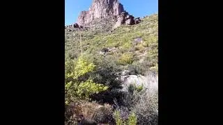 Terrapin Trail hike to Al Morrow's Camp - Superstition Wilderness