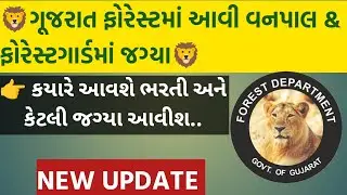 ગુજરાત ફોરેસ્ટ વિભાગમાં આવી શકે છે ભરતી.gujarat forest Big update new Bharti Gujarat forest.forest.🦁