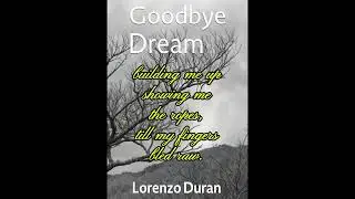 Goodbye Dream