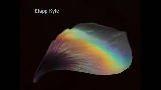 Etapp Kyle - Quantum