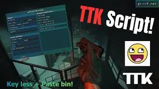 (free) TTK Testing script + Magic bullet, Inf Ammo