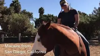 Hoof Help with Supplements