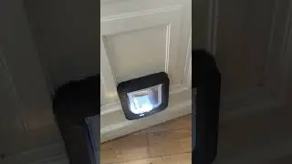 Best day #catflap