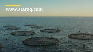 Arrantza kaiola flotagarria, Itsas Etxean Akuikulturarako diseinatua.