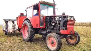 Tractor UTB 650 M model 2006 & culegător SIP Tornado la recoltat de porumb știuleți 🌽⚙💨🚜