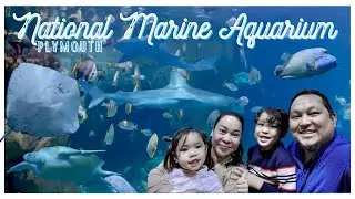 We found Nemo! | National Marine Aquarium in Plymouth | Enzo's Birthday Treat | Sassshai