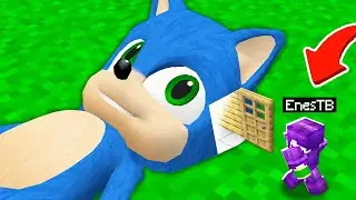 BEBEK SONIC'in KAFASININ İÇİNDE NE VAR - ⚠️ Minecraft