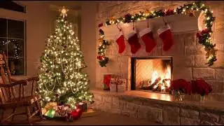 😃 Happy Merry Christmas Everyone Happy Holidays - ( Real Photo Version 1 ) 🎅🏻🦌🎁🎄