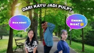 Kraft Pulp Process (Cooking, Washing, & Bleaching)