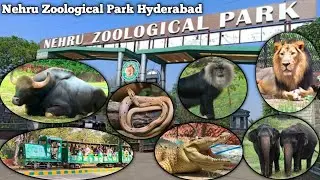 Nehru Zoological park Hyderabad #NehruZoo#HyderabadZoo#Wildlife#Animals#TravelVlog #TelanganaTourism