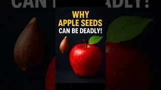 Why Apple Seeds Can Be Deadly?! #shorts #didyouknow #facts #funfacts #mindblown