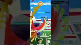 Kartana solo, Sunny, X-Scissor