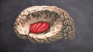 🧠 EL DELIRIO DE ESTAR MUERTO: S&Iacute;NDROME DE COTARD