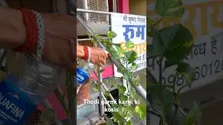 #plants #gardening #naturelovers #nature #planting #adventure #trees #environment