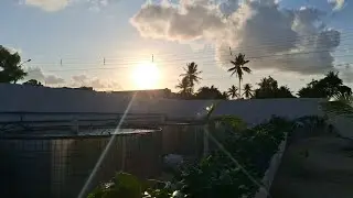 OLHA SÓ COMO ESTÃO OS PEIXES 🐟 🐟 🐟 🐟 🐟 🐟 ESTÃO COMENDO MUITO 🙏🙏🙏