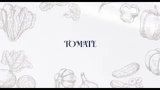TUTO semis : Comment semer les graines de tomate ?
