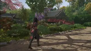 The Ultimate AC Shadows Hideout