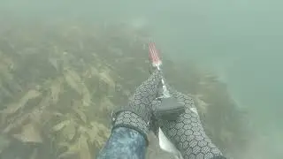 Laser Pro Gun Shooting High