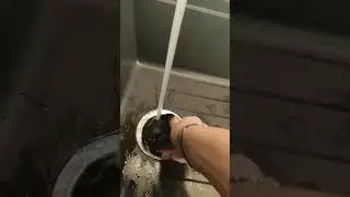 Бытовой измельчитель In Sink Erator ISE 56 черный