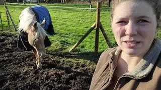 The Best Farm Project this Year - Horse Track! VLOG